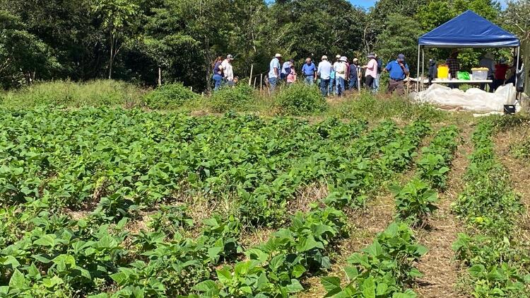MIDA REALIZA TALLER DE AGRICULTURA ORGÁNICA EN POTRERILLOS