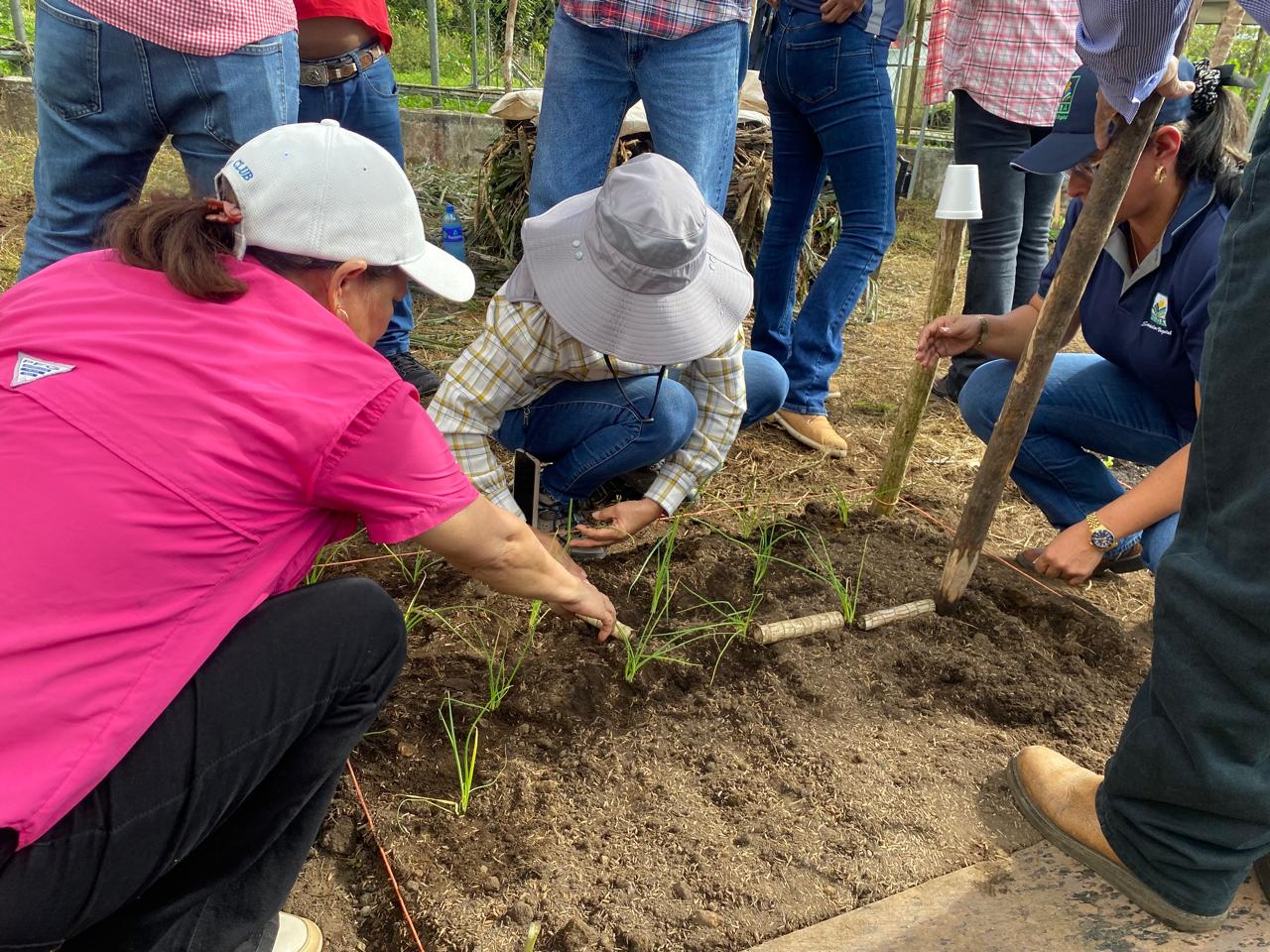 MIDA REALIZA TALLER DE AGRICULTURA ORGÁNICA EN POTRERILLOS