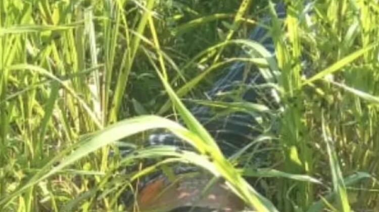 Hallan cuerpo dentro de una bolsa negra cerca del IPT de Don Bosco