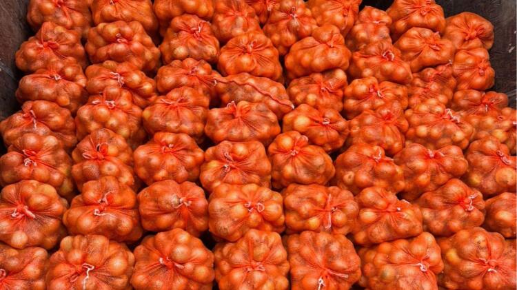 Aduanas retiene cargamento de cebolla sin documentación en puesto de control de San Isidro