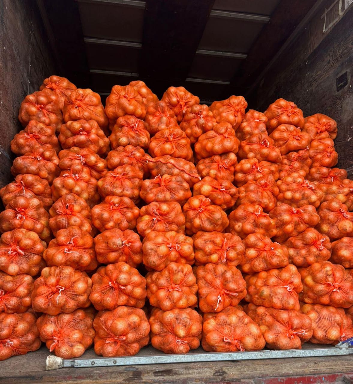 Aduanas retiene cargamento de cebolla sin documentación en puesto de control de San Isidro